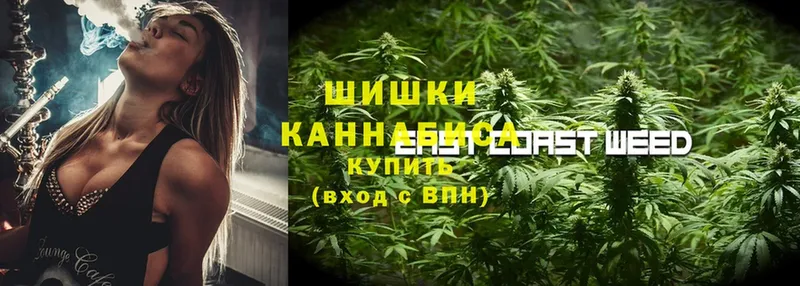 Канабис Amnesia  где купить наркоту  Алатырь 